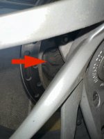 IMG_3550.jpeg