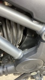 IMG_3686.jpeg