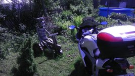 IMAG0479.jpg