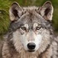 oleg495