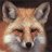 SDSFox