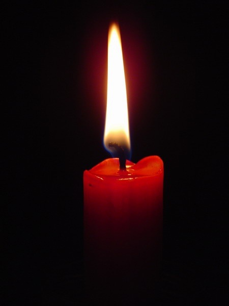 1385016645_87.jpg
