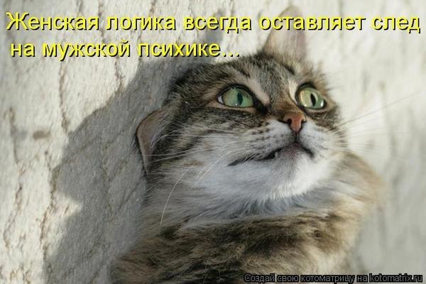 x_96b1c5d7.jpg