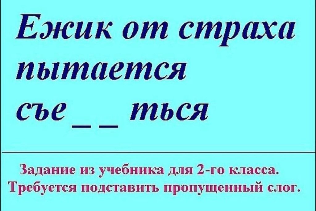 303e2c0d7a976082ced47de3c2c7178a.jpg