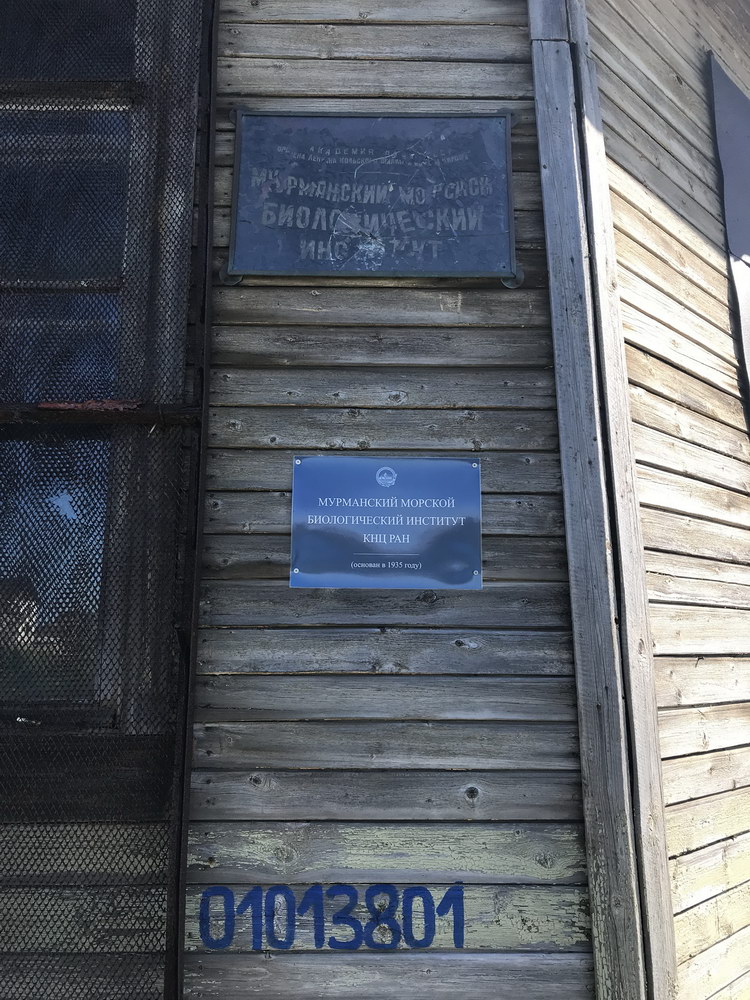 73.jpg