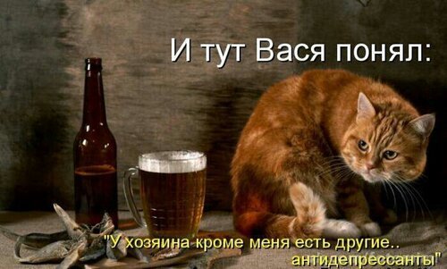 0_1332be_8b088f99_L.jpg