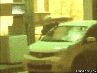 idiots_18.gif