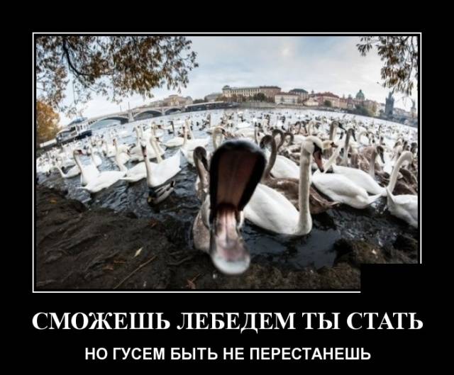 703d36764fe926e26523d88399de8aef.jpg
