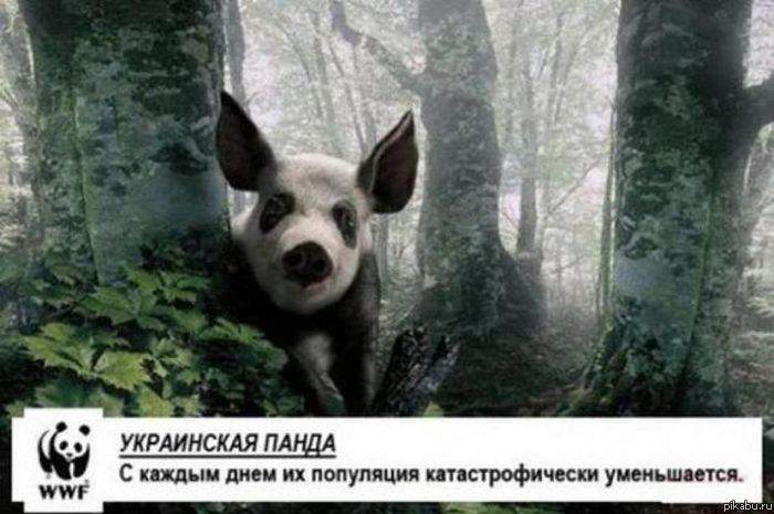 7z9.jpg
