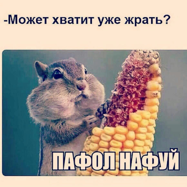 aba6c82f26533ba621589d2df1f33b71.jpg