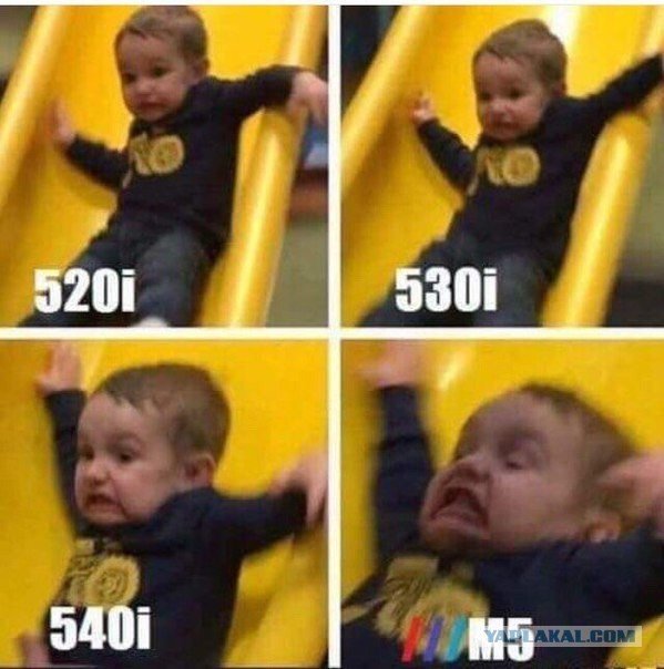 7878461.jpg