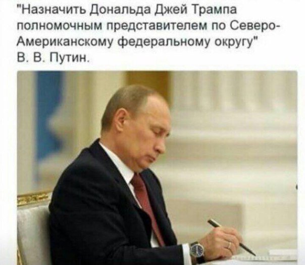 71vB8ul2V-U.jpg