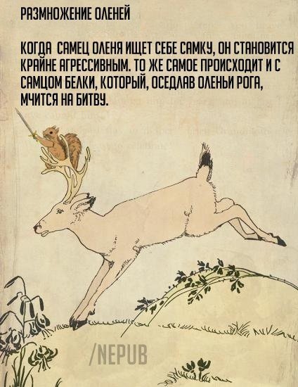 2mN2O2YQYT8.jpg
