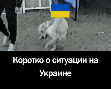 127610_original.gif