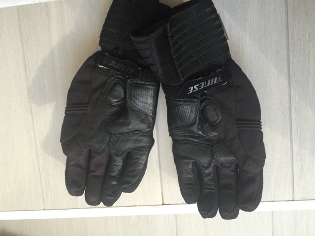 f3096ab18fa77b9ef1d99205d77807d4.jpg