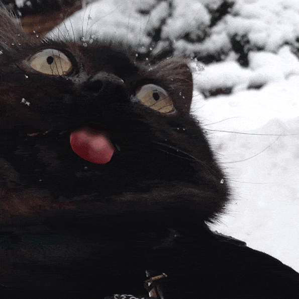 1468150648_01.gif