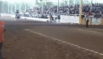 809526_original.gif