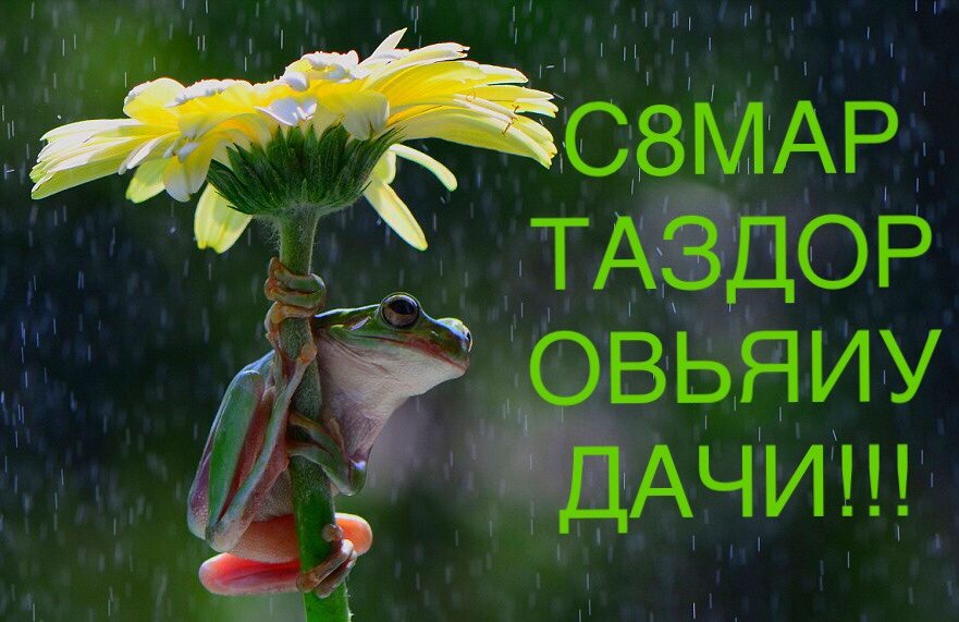 67c71b7aa22a8d8a28518451247c63e3.jpg