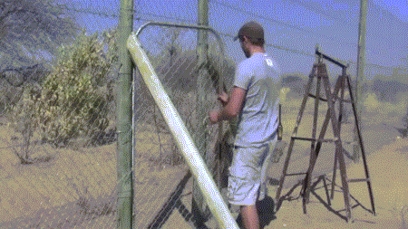 1395451609_874398055.gif