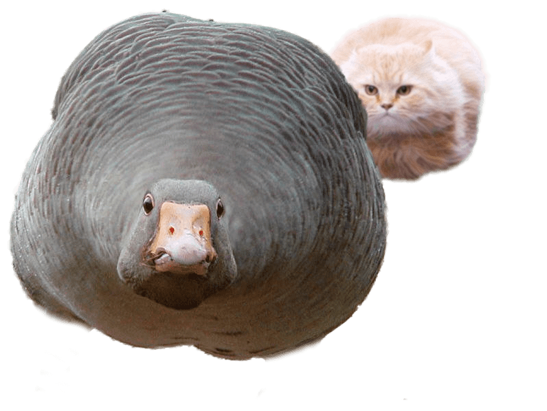 13688544966056.png