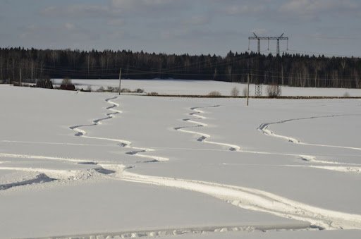 _DSC5938.JPG
