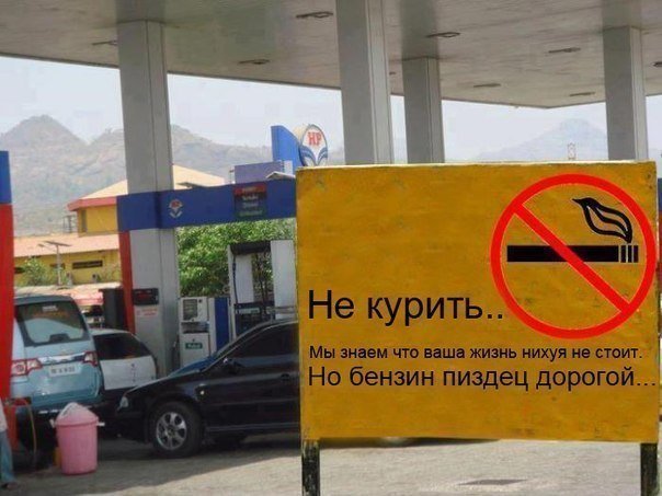 BdZ1bim_0Z4.jpg