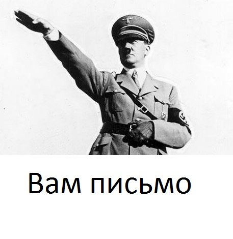 4601595.jpg
