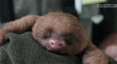 65457501809a5253ca02ffaea09a5aac.gif