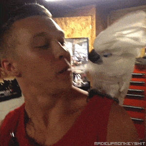 1375987350_319838839.gif