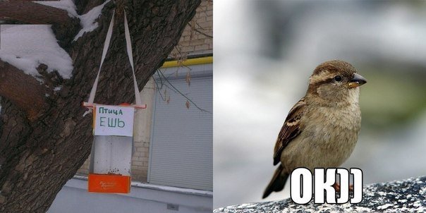yuC5DerKJUI.jpg