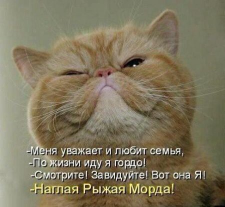71d91d5aaaea155864fc373d8f3c4dd9.jpg