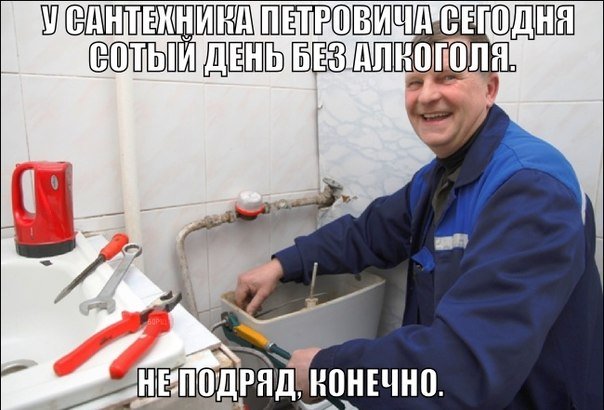 5206095.jpg
