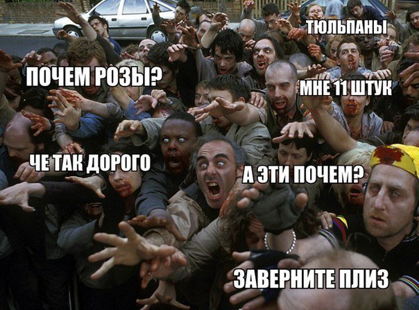 kVAV81zNq6w.jpg