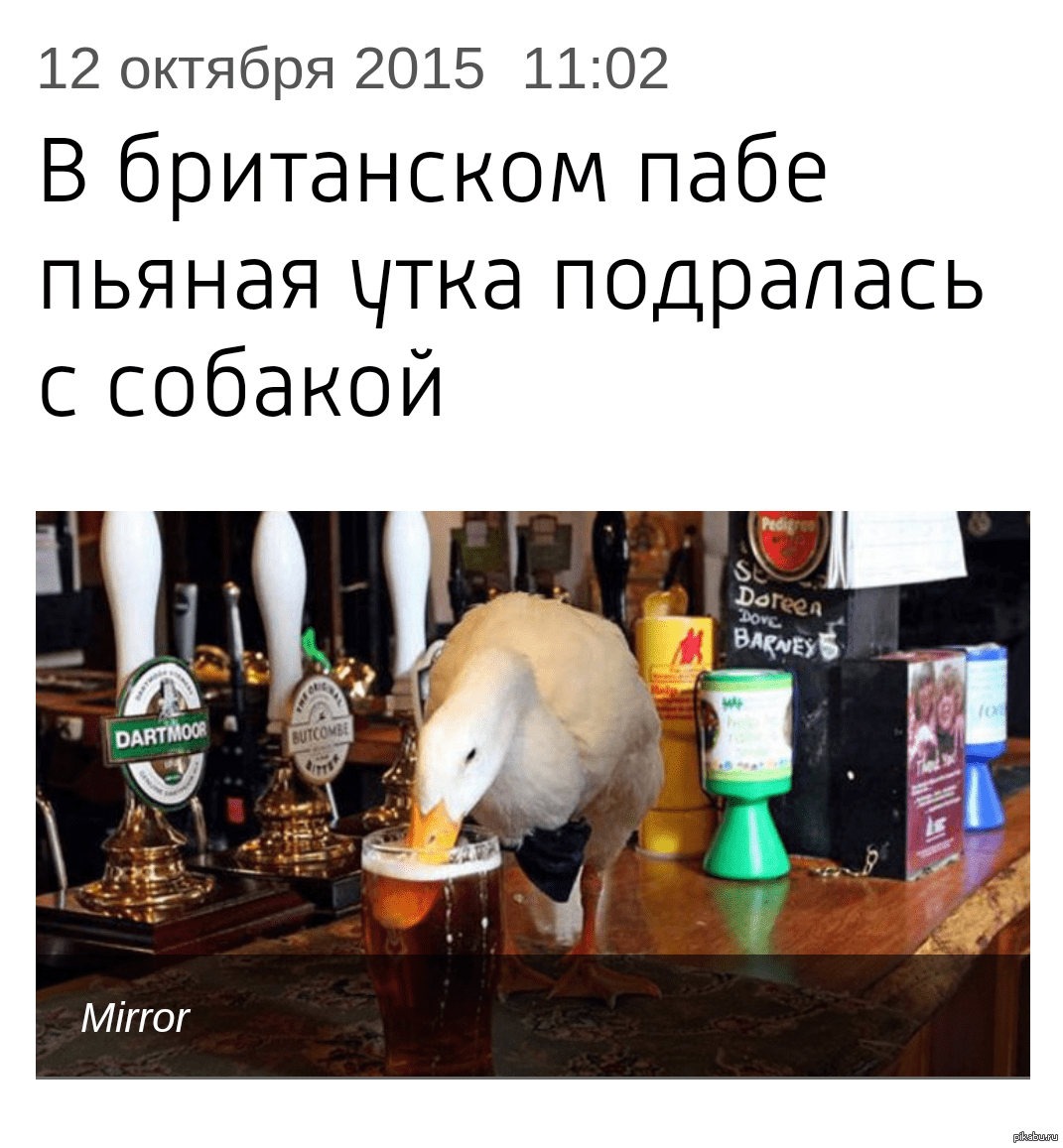 1444647731_773679325.png