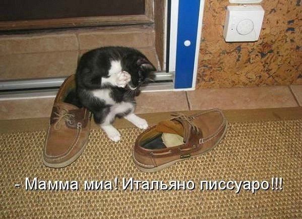 ucNpFCmlLuE.jpg