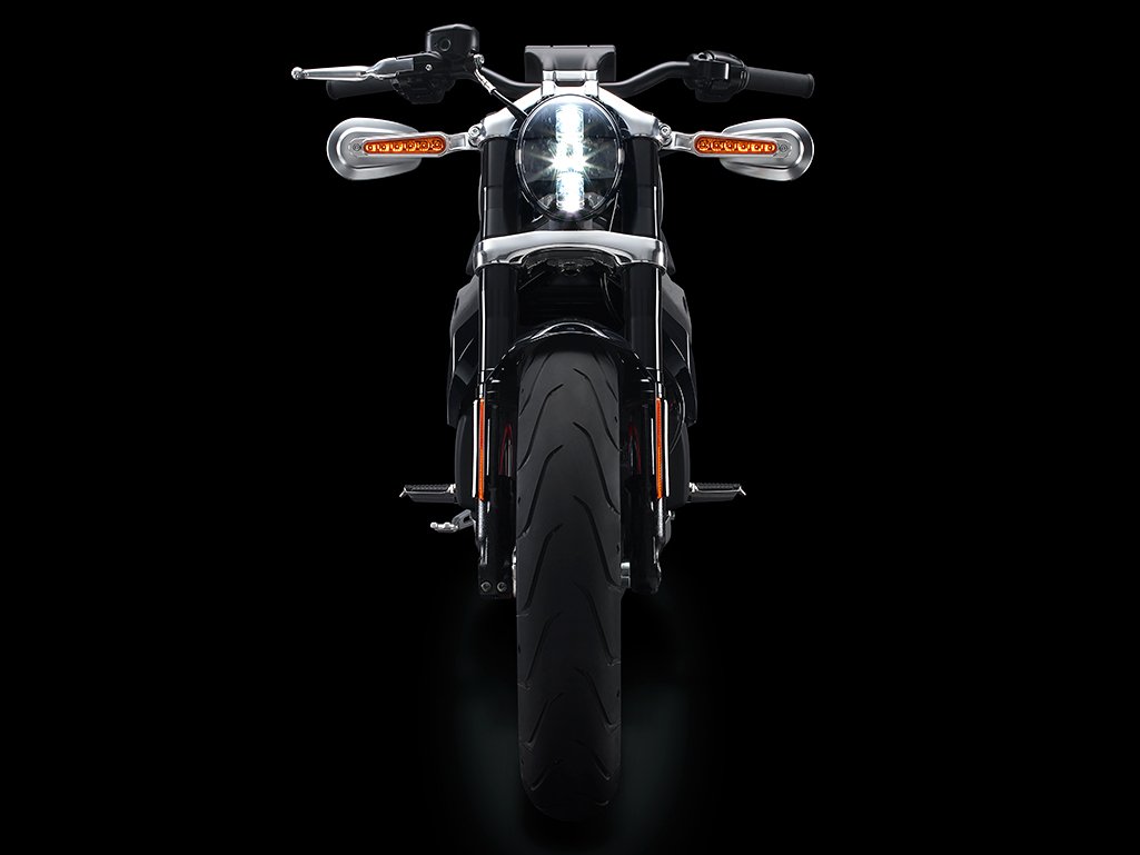 harley-03.jpg