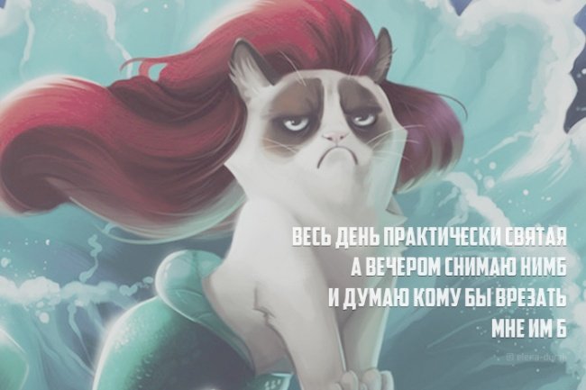 453922_original.jpg