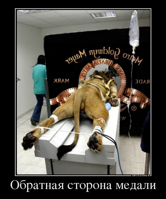 252.jpg