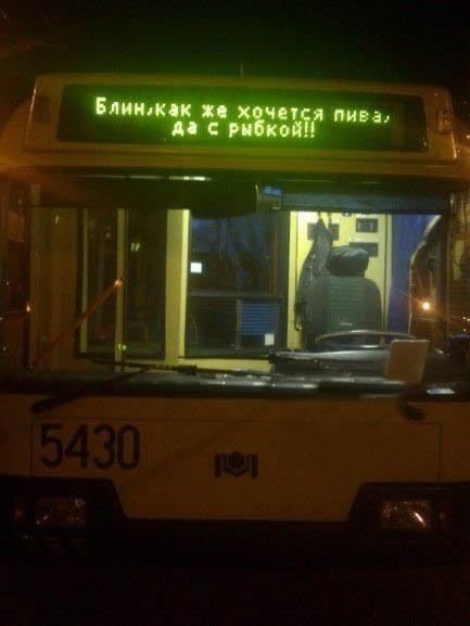 jubebuny.jpg