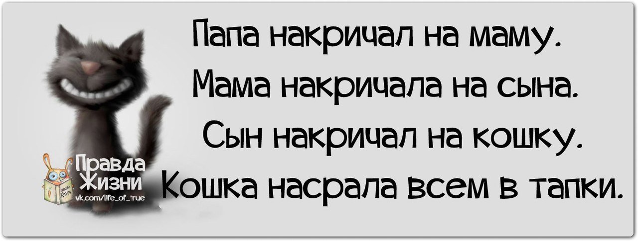 t16brb69IVk.jpg