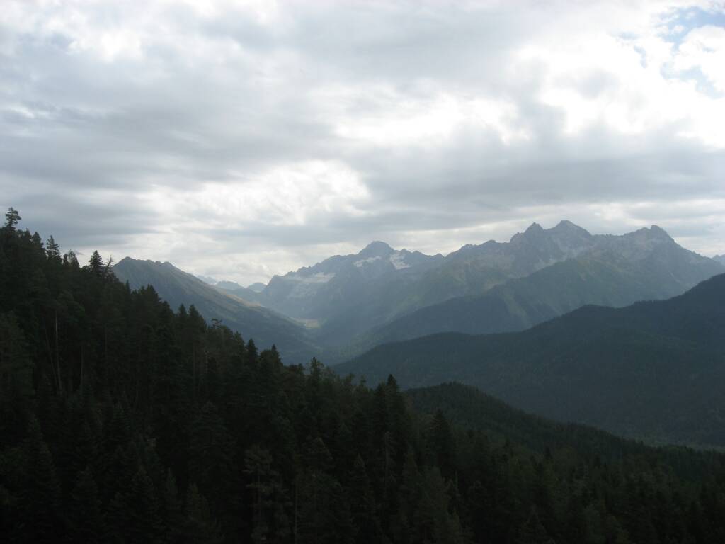 3a2a94de631a222499f0236d17026f3d.jpg