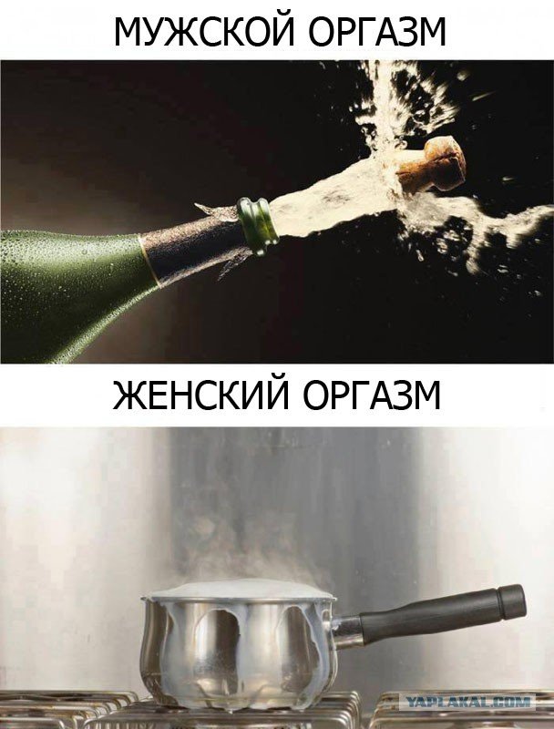 4436076.jpg