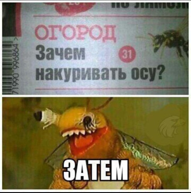 ebbe7533e5f403a3575ca87aa793bd2c.jpg