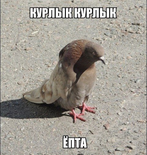 maR1-jrN4kI.jpg