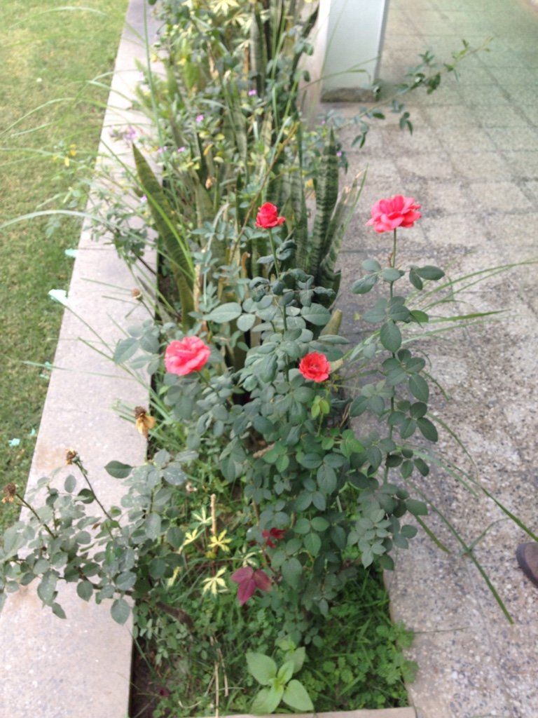 4a65f2fe0d0e19e28bdd5f28d20afe5a.jpg