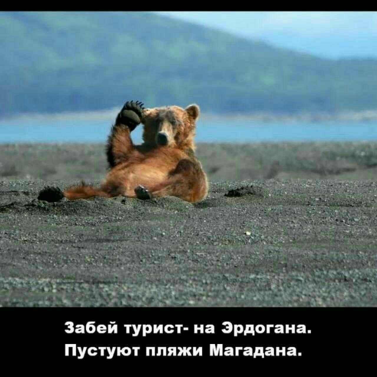 501f131a6df3f416a4da9af633421ce2.jpg