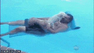 gifkimatrasdvesobachihsily695351.gif