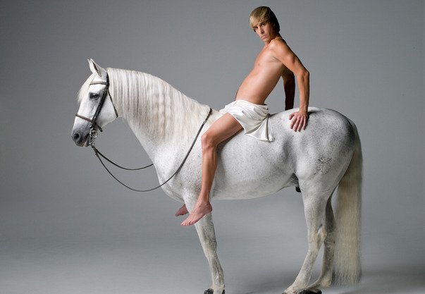 54533042_BrunoWhiteHorse2_gallery_primary.jpg