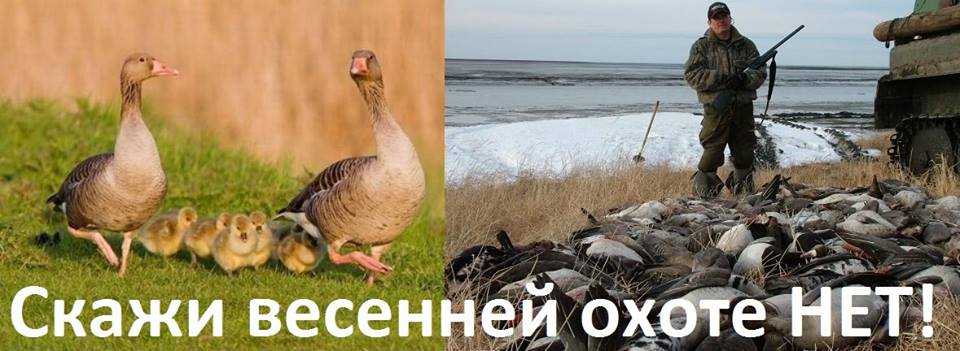 Ohotniki9_VesenneiOhote_NET.jpg