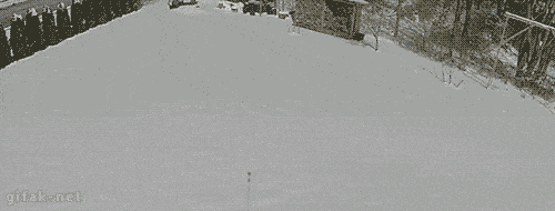 02.gif